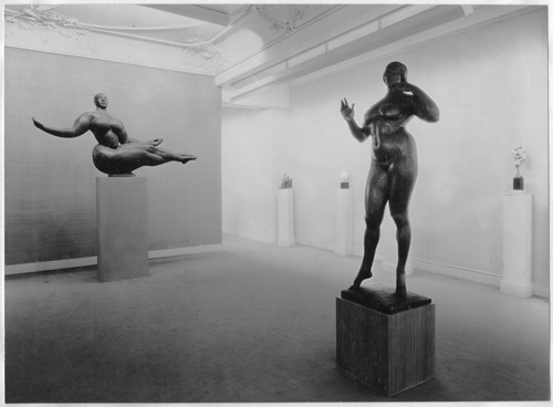 Photo of the exhibition