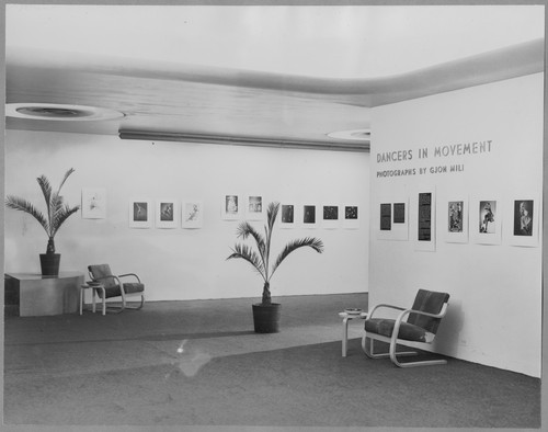 Photo of the exhibition