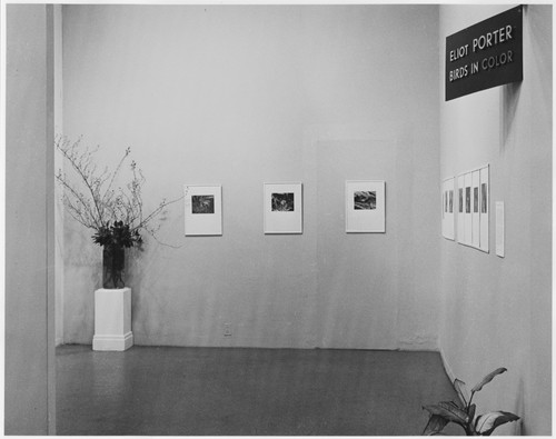 Photo of the exhibition