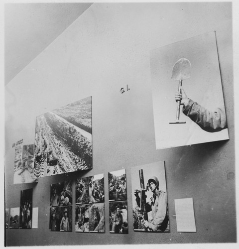 Photo of the exhibition