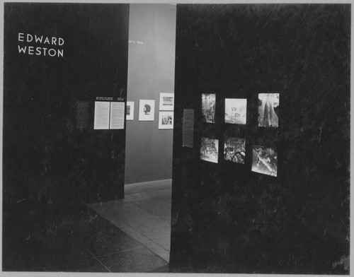 Photo of the exhibition