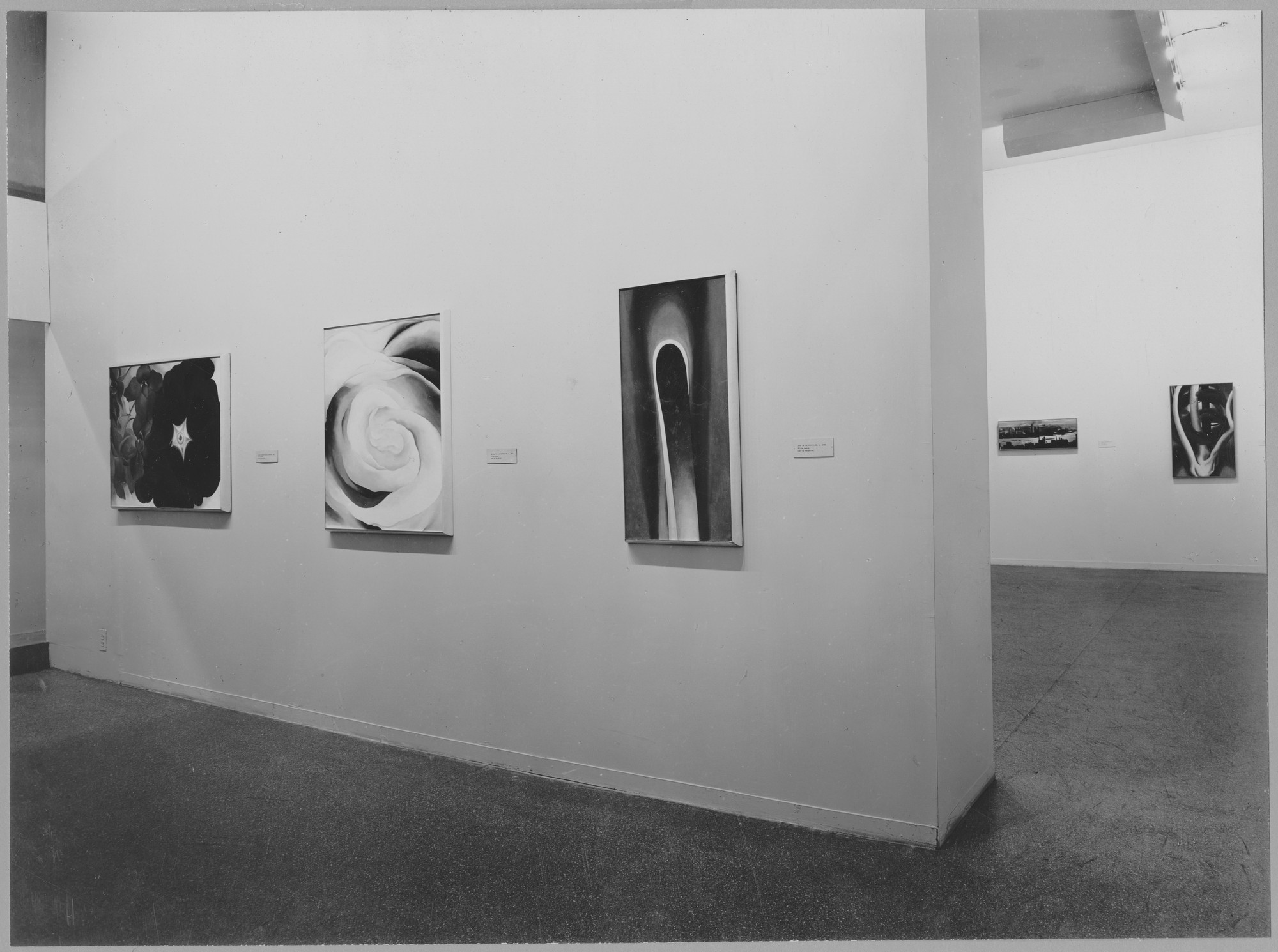 O'Keeffe on MOMA Exhibition Spelunker