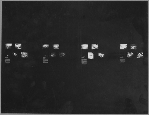 Photo of the exhibition