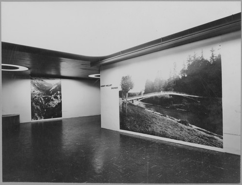 Photo of the exhibition