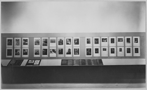 Photo of the exhibition