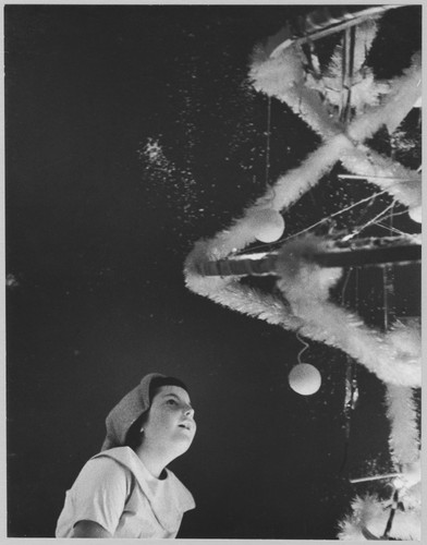 Photo of the exhibition