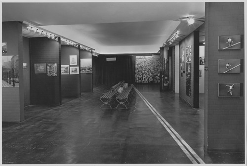 Photo of the exhibition
