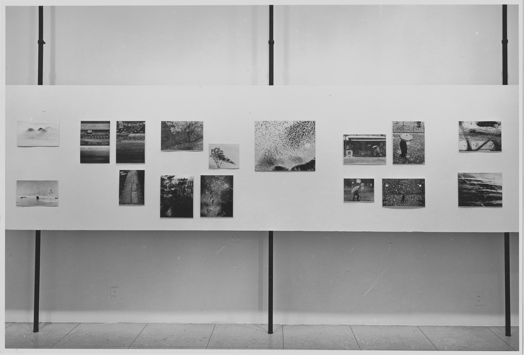 Photographs From The Museum Collection On MOMA Exhibition Spelunker