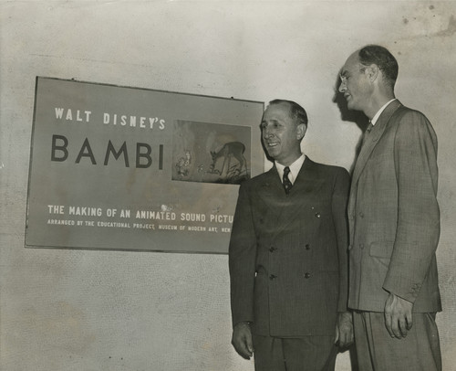 Photo of the exhibition