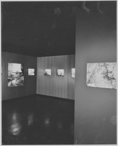 Photo of the exhibition