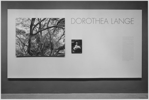 Photo of the exhibition
