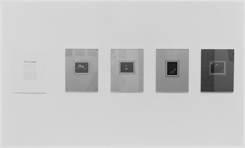 Photo of the exhibition