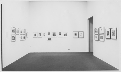 Photo of the exhibition