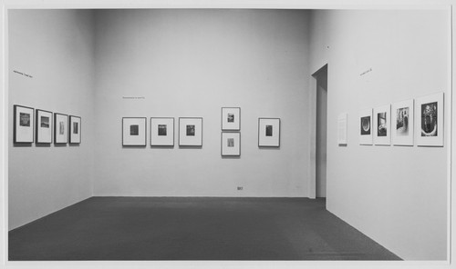Photo of the exhibition