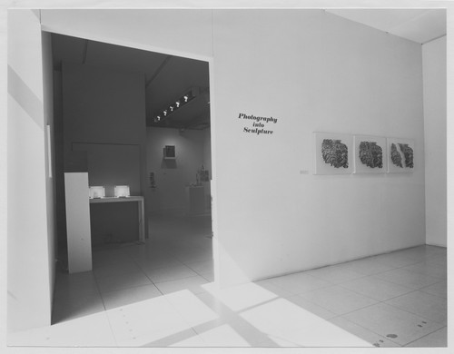 Photo of the exhibition