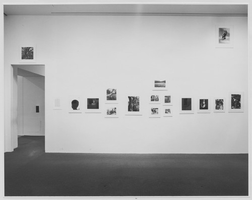 Photo of the exhibition