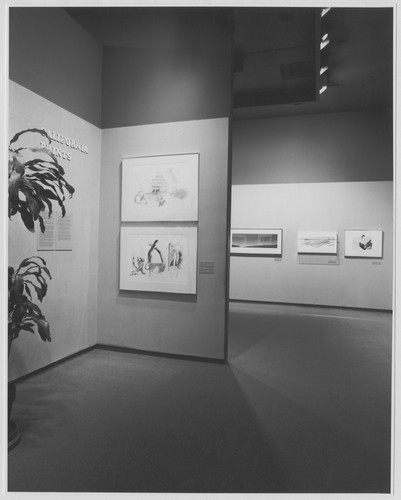 Photo of the exhibition