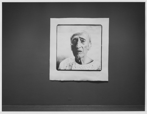 Photo of the exhibition