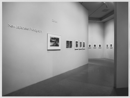 Photo of the exhibition
