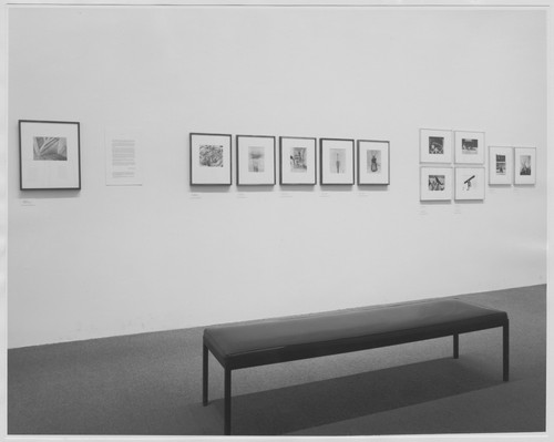 Photo of the exhibition