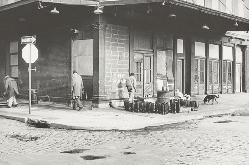 Photo of the exhibition