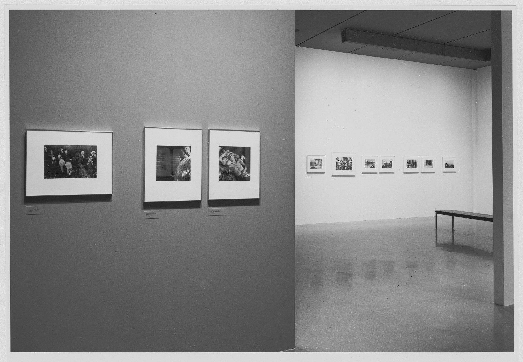 Mirrors and Windows American Photography Since 1960 on MOMA Exhibition