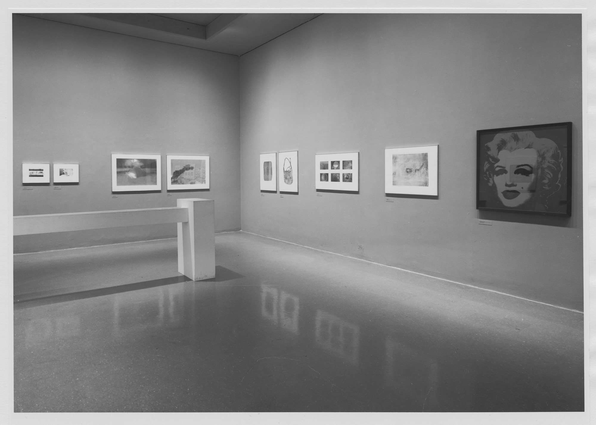 Mirrors and Windows American Photography Since 1960 on MOMA Exhibition