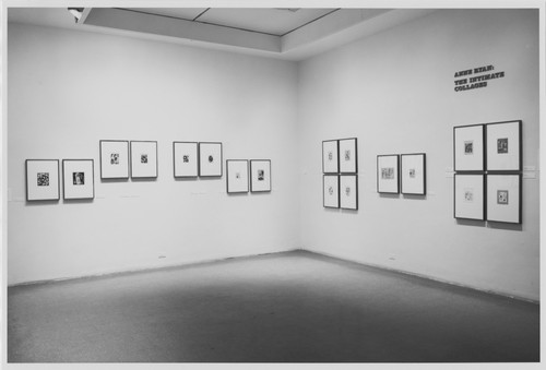 Photo of the exhibition