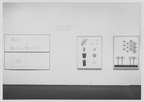 Photo of the exhibition