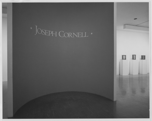 Photo of the exhibition
