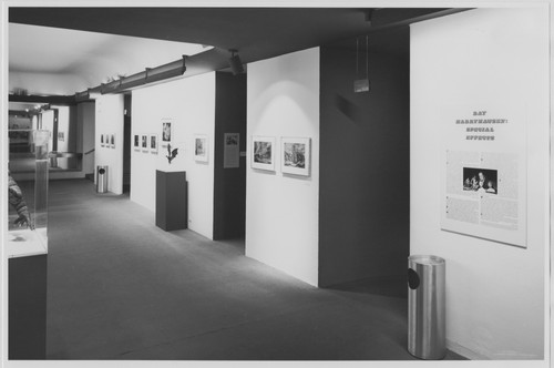 Photo of the exhibition