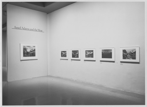 Photo of the exhibition