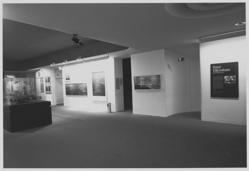 Photo of the exhibition