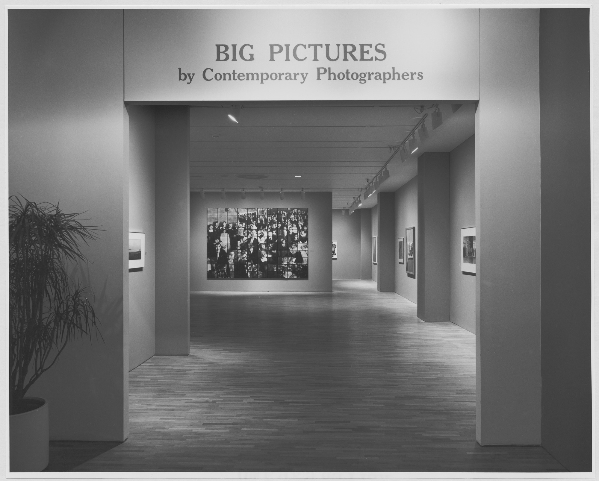 Big Pictures by Contemporary Photographers on MOMA Big Pictures by Contemporary Photographers on MOMA