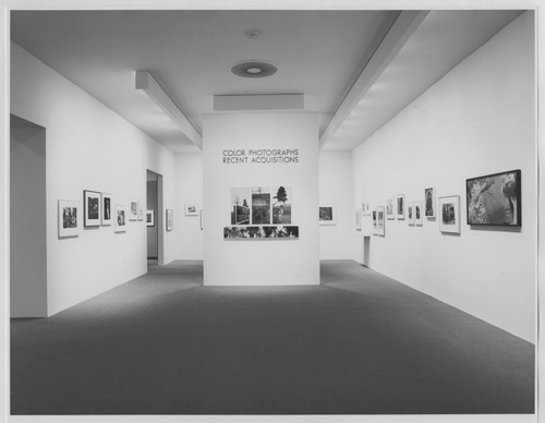 Photo of the exhibition