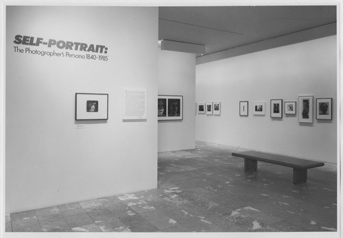 Photo of the exhibition