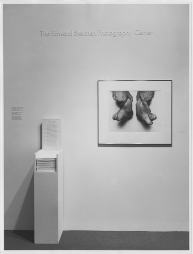 Photo of the exhibition