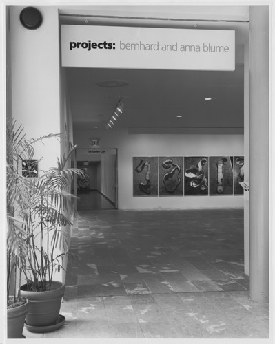Photo of the exhibition