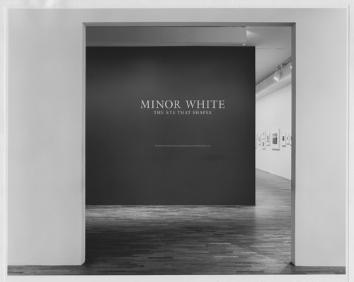 Photo of the exhibition
