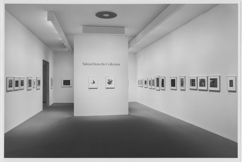 Photo of the exhibition