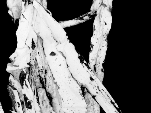 Paul Sietsema. Film still from <i>Figure 3.</i> 2008. 16mm film (black and white and color, silent), 16 min. The Museum of Modern Art. Fund for the Twenty-First Century. &copy; 2009 Paul Sietsema