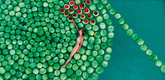 Sigalit Landau. <i>DeadSee</i>. 2005. Video (color, silent), from <i>Cycle Spun</i> (2007). Image courtesy Galerie Anita Beckers, Frankfurt am Main