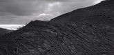 Frank Gohlke. <i>Aerial View, Downed Forest Near Elk Rock, Approximately Ten Miles Northwest of Mount St. Helens, Washington.</i> 1981. Gelatin silver print, 17 7/8 x 21 7/8" (45.7 x 55.8 cm). The Museum of Modern Art, New York. Acquired through the generosity of Shirley C. Burden. &copy; 2005 Frank Gohlke