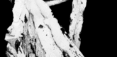 Paul Sietsema. Film still from <i>Figure 3.</i> 2008. 16mm film (black and white and color, silent), 16 min. The Museum of Modern Art. Fund for the Twenty-First Century. &copy; 2009 Paul Sietsema