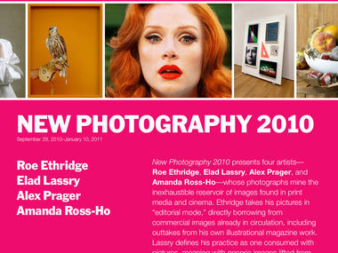 <i>New Photography 2010</i> website