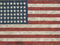 Jasper Johns
Flag
1954