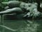 Aristide Maillol
The River
Begun 1938-39; completed 1943 (cast 1948)