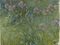 Claude Monet, French, 1840-1926
Agapanthus. 1914-26
Oil on canvas. 6' 6" x 70 1/4" (198.2 x 178.4 cm)
The Museum of Modern Art, New York. Gift of Sylvia Slifka in memory of Joseph Slifka