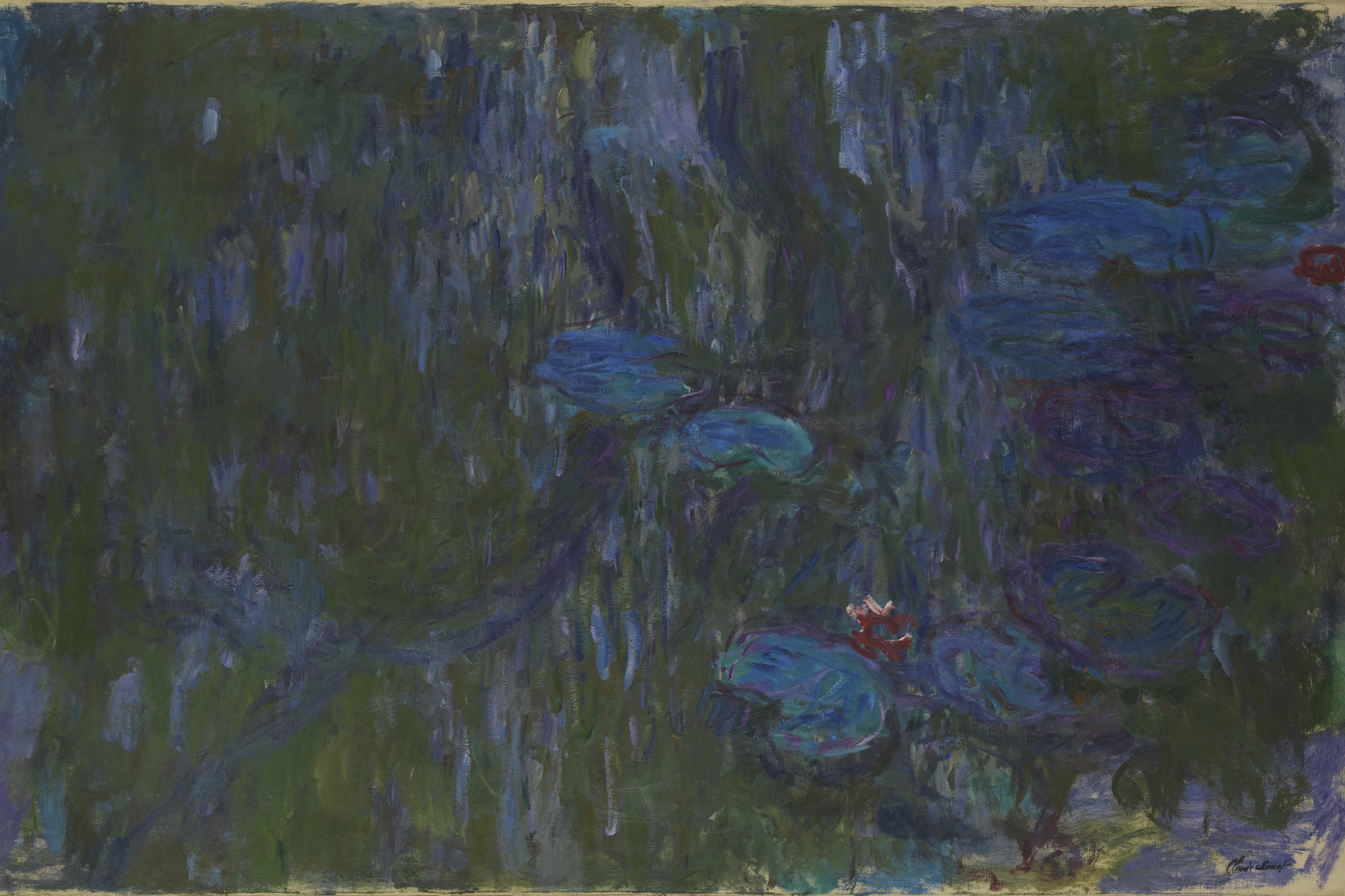 Monets Water Lilies Moma