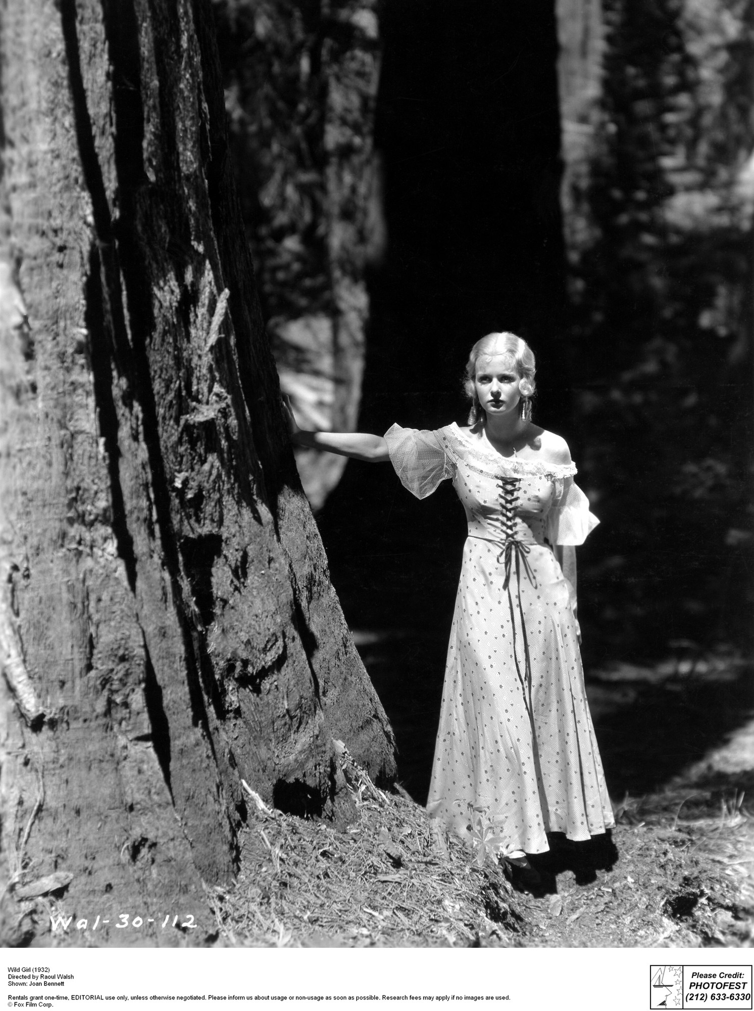 Wild Girl. 1932. Directed by Raoul Walsh | MoMA